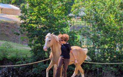 Marie Baxerre et Pincel en Chartreuse !
